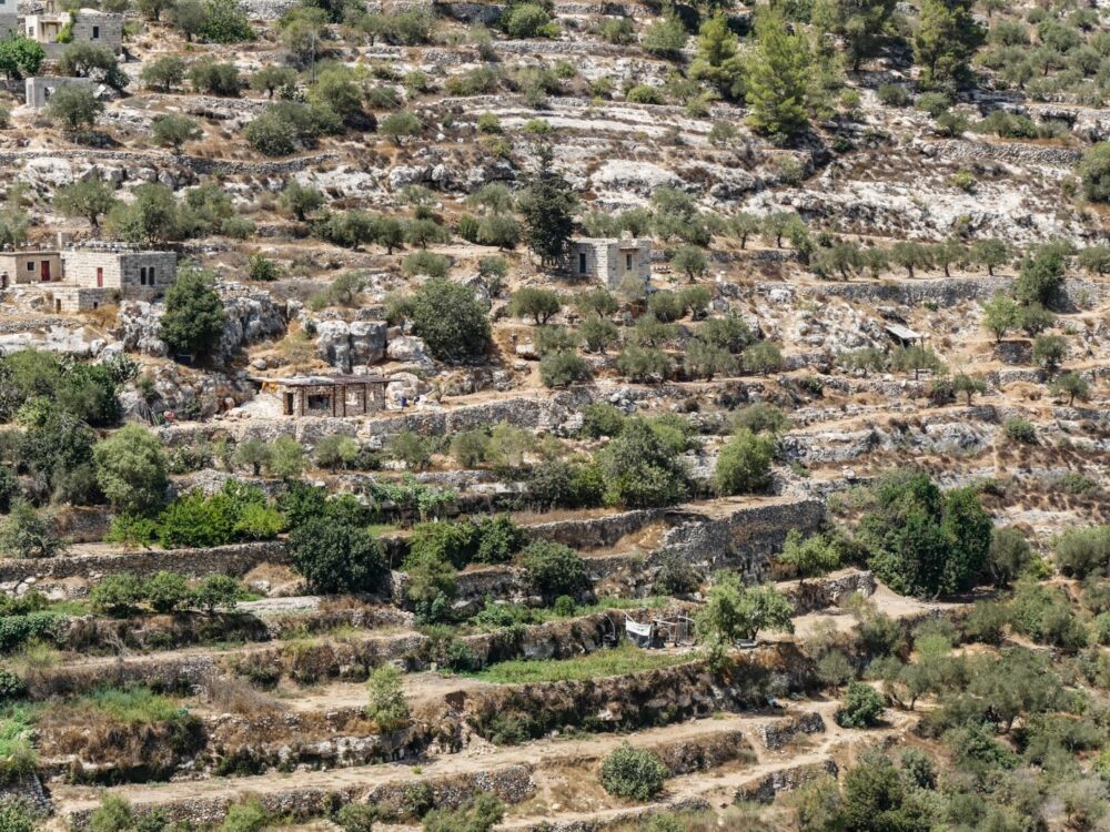 The Roman terraces of Battir