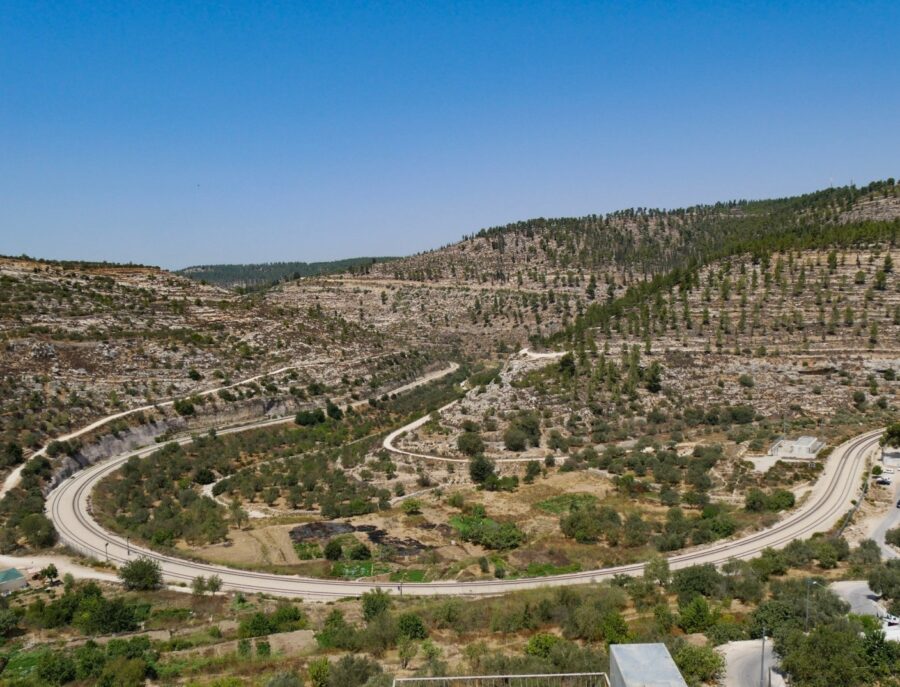 Birds eye view of the Roman terraces of Battir