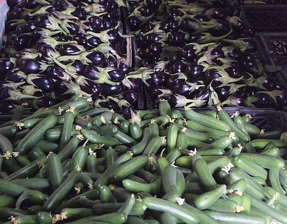 Organic aubergines and cucumbers from Fayez's farm