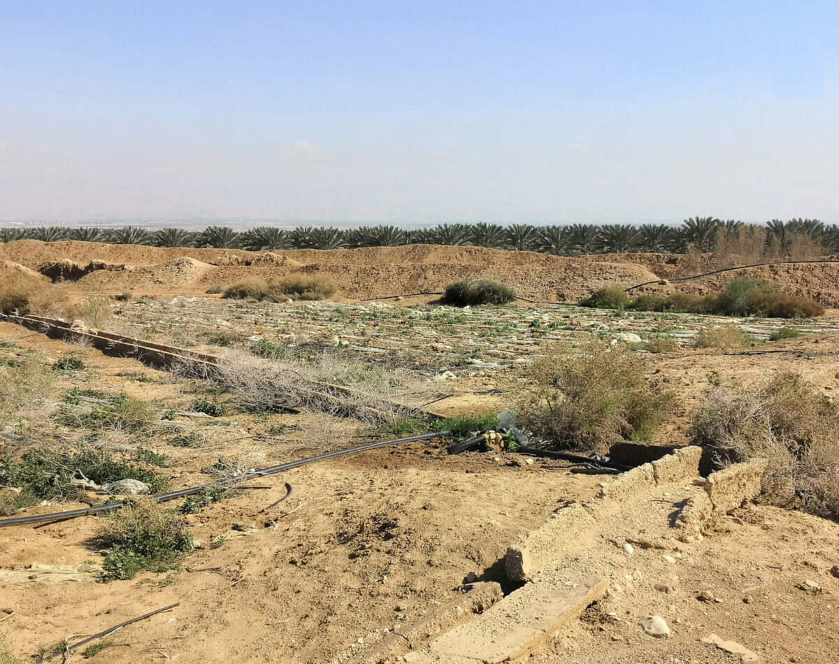 Palestinian crops covered in plastic to keep in the moisture