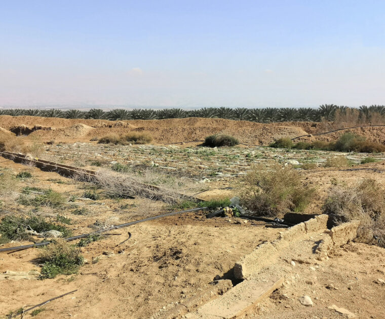 Palestinian crops covered in plastic to keep in the moisture