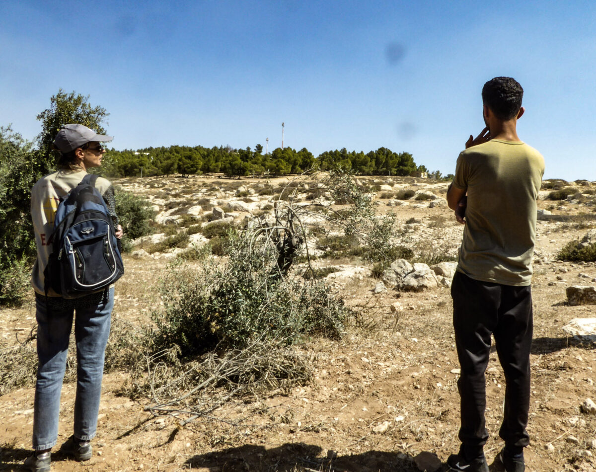 A Palestinian and an EA look over at some destroyed olive trees