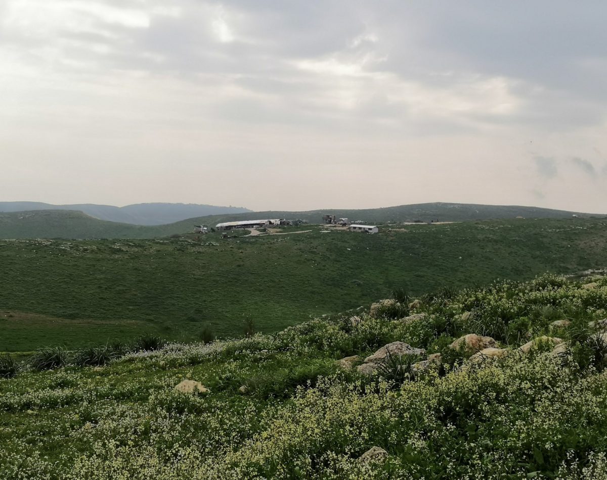 The settlement outpost on the hillside